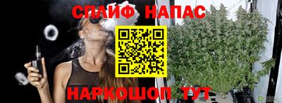 индика Севастополь