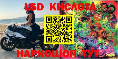 крисы Северобайкальск