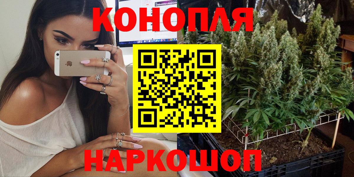 Бошки марихуана Amnesia Санкт-Петербург